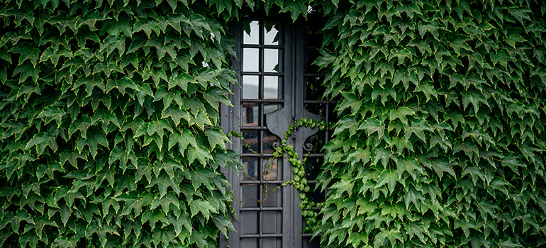 Garden Gate Repair in Fort Walton Beach, FL