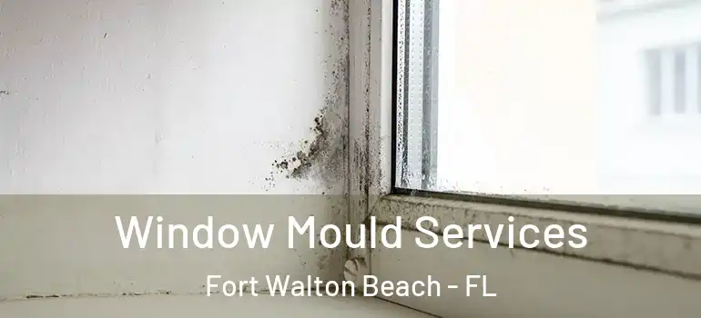  Window Mould Services Fort Walton Beach - FL